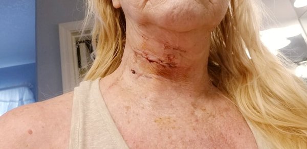 La restauration japonaise : une fusion entre tradition et modernité ?